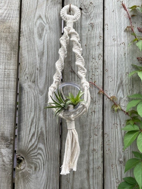 Double Twists Airplant Hanger