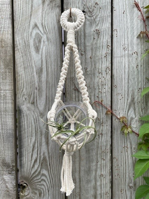 Double Arm Airplant Hanger